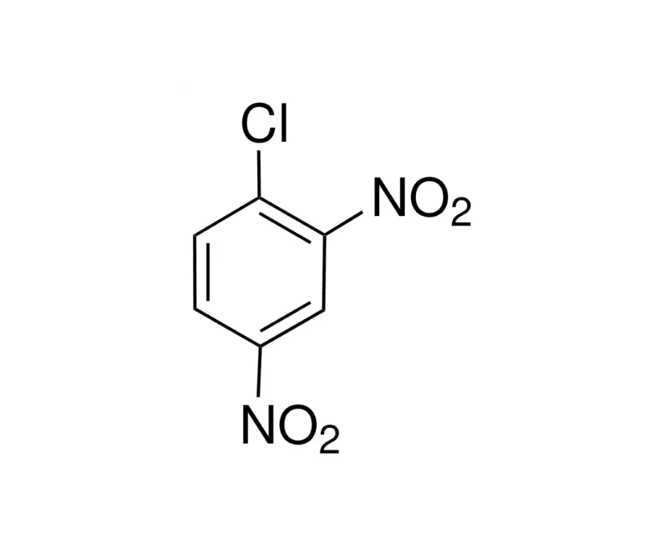 image de la molécule 1-Chloro-2,4-dinitrobenzene