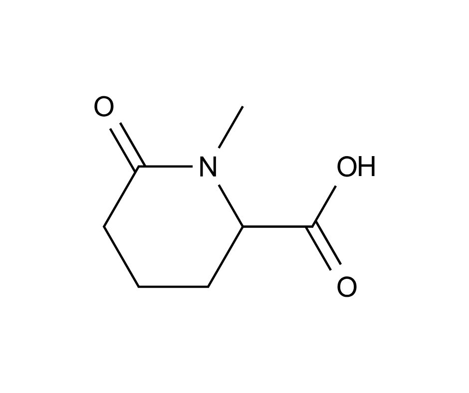 image de la molécule 1-Methyl-6-oxopiperidine-2-carboxylic acid