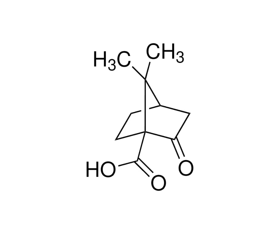 image de la molécule (1S)-(+)-Ketopinic acid