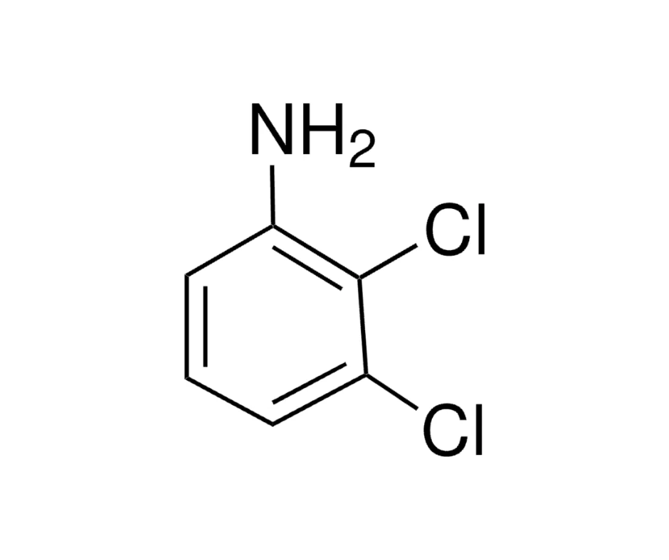 image de la molécule 2,3-Dichloroaniline
