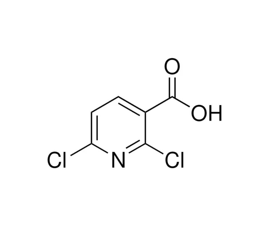 image de la molécule 2,6-Dichloropyridine-3-carboxylic acid
