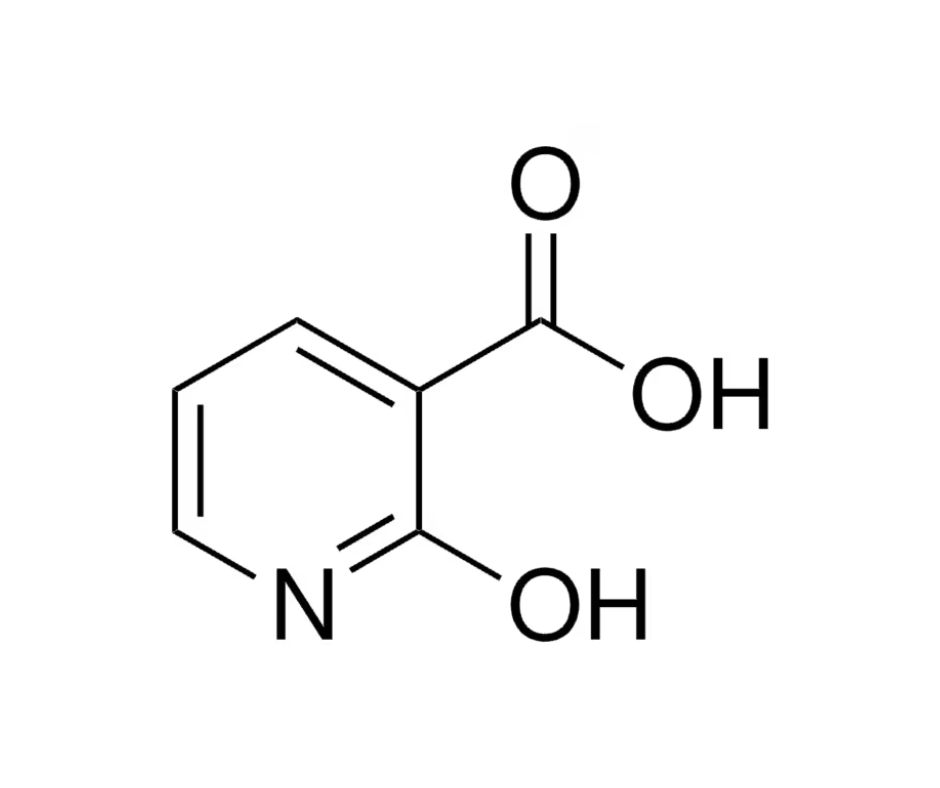 image de la molécule 2-Hydroxypyridine-3-carboxylic acid