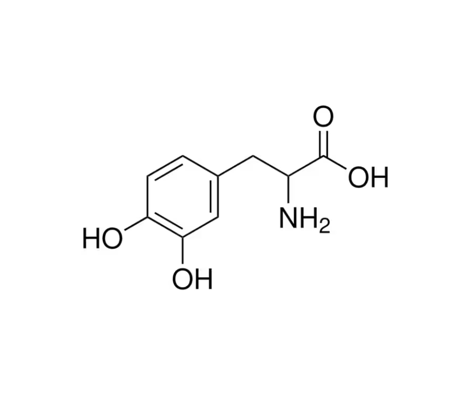 image de la molécule 3,4-Dihydroxy-DL-phenylalanine