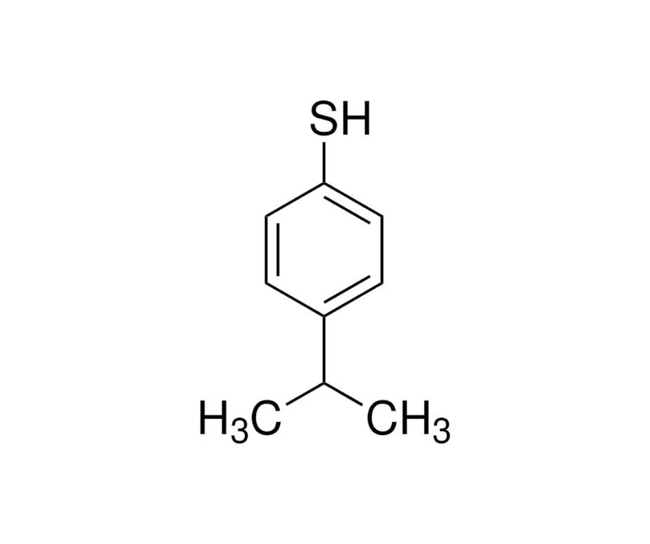 image de la molécule 4-ISOPROPYL-BENZENETHIOL