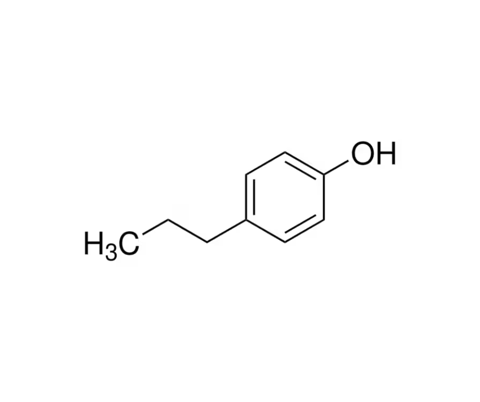 image de la molécule 4-Propylphenol