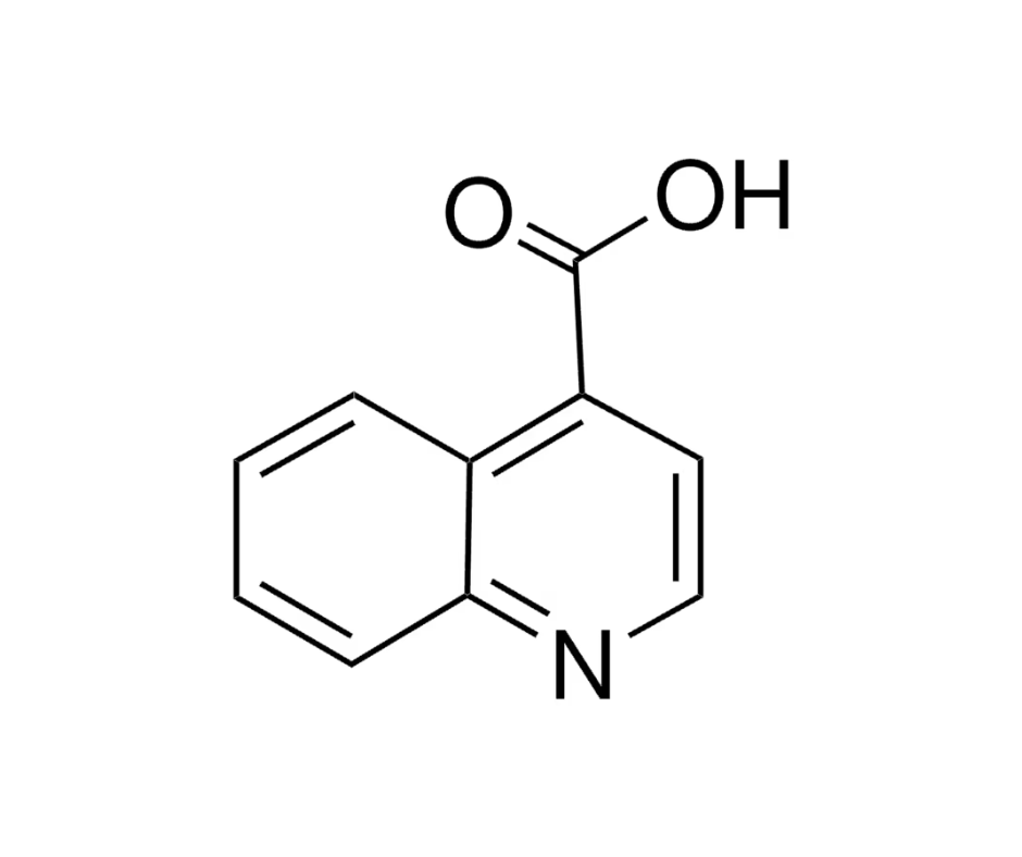 image de la molécule 4-Quinolinecarboxylic acid