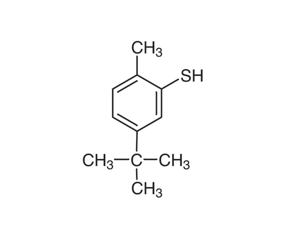 image de la molécule 5-tert-Butyl-2-methylbenzenethiol