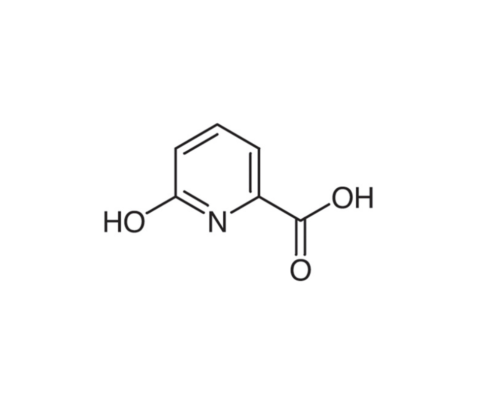 image de la molécule 6-Hydroxy-2-pyridinecarboxylic Acid
