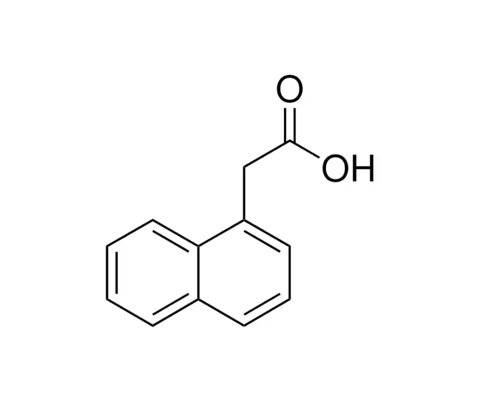 image de la molécule Acide 1-naphtalène-acétique