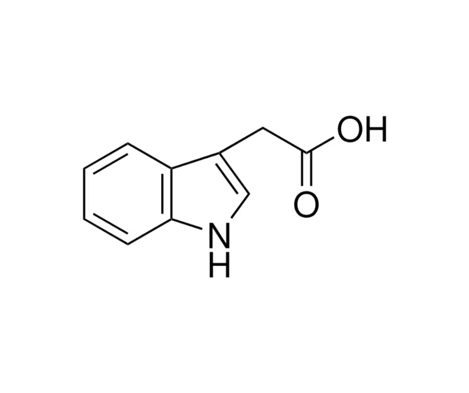 image de la molécule Acide 3-indole acétique