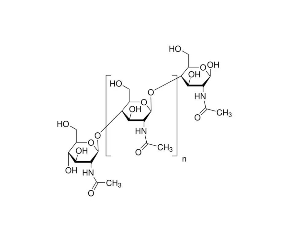 image de la molécule Chitin