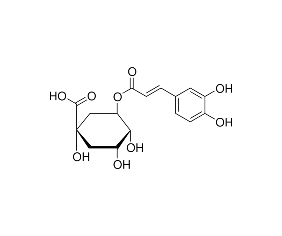 image de la molécule Chlorogenic acid