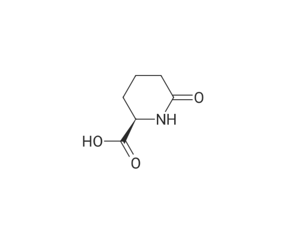image de la molécule D-6-Oxo-pipecolinic acid