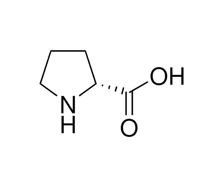 image de la molécule D-Proline