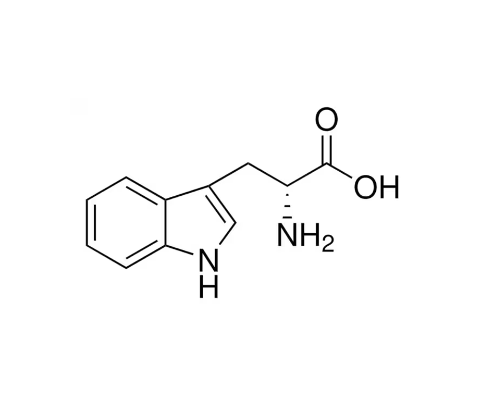 image de la molécule D-Tryptophan