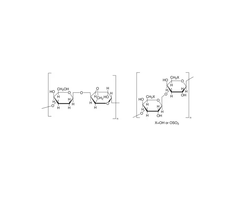 image de la molécule Gélose