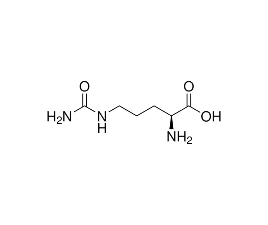 image de la molécule L-Citrulline