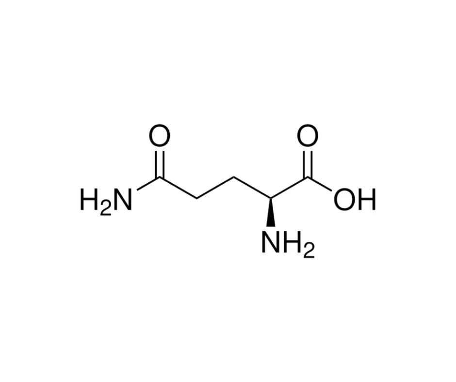 image de la molécule L-Glutamine