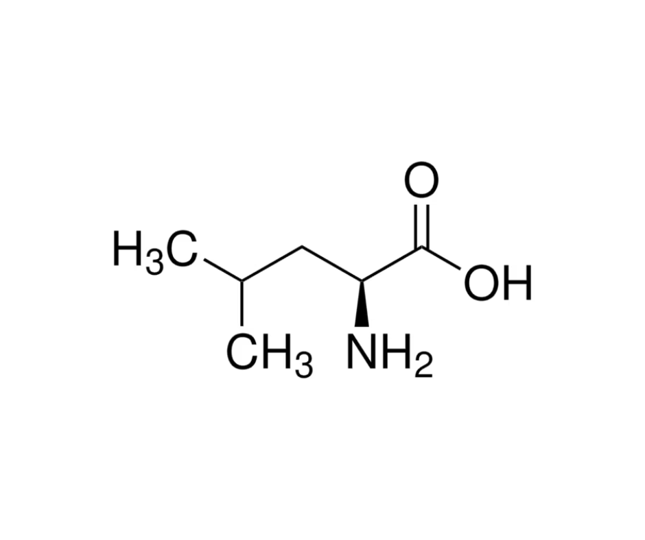 image de la molécule L-Leucine