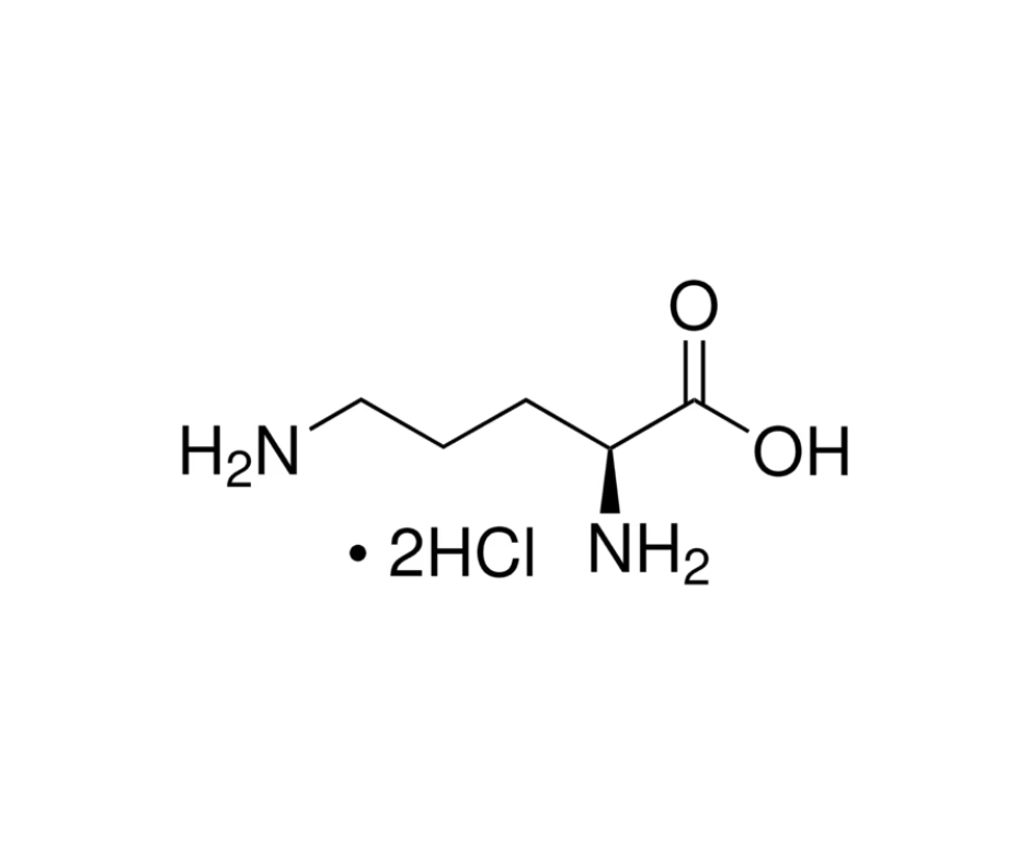 image de la molécule L-Ornithine dihydrochloride