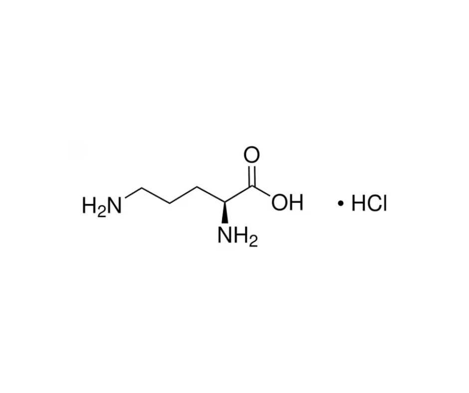 image de la molécule L-Ornithine monohydrochloride