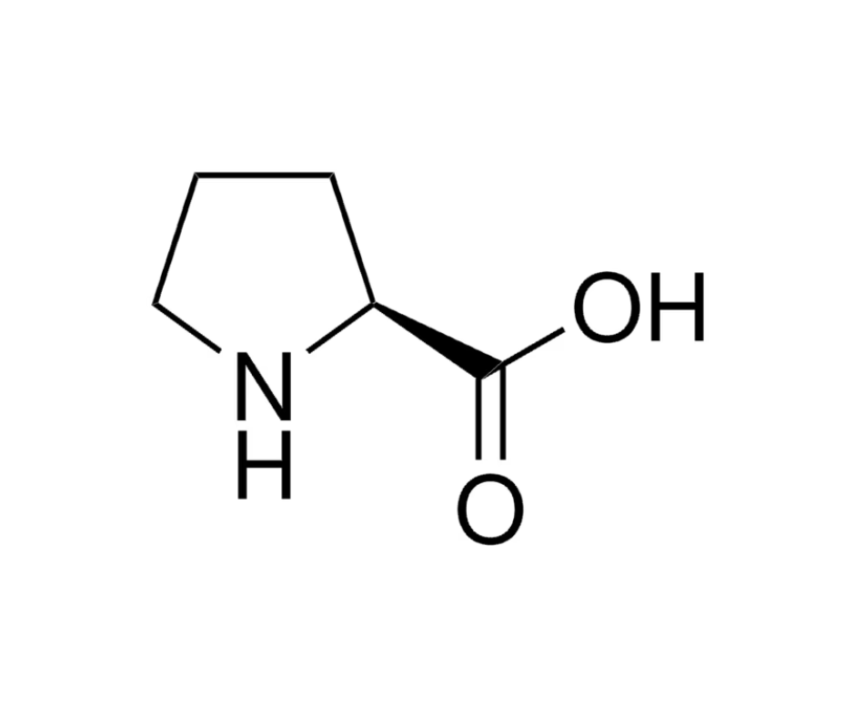 image de la molécule L-Proline