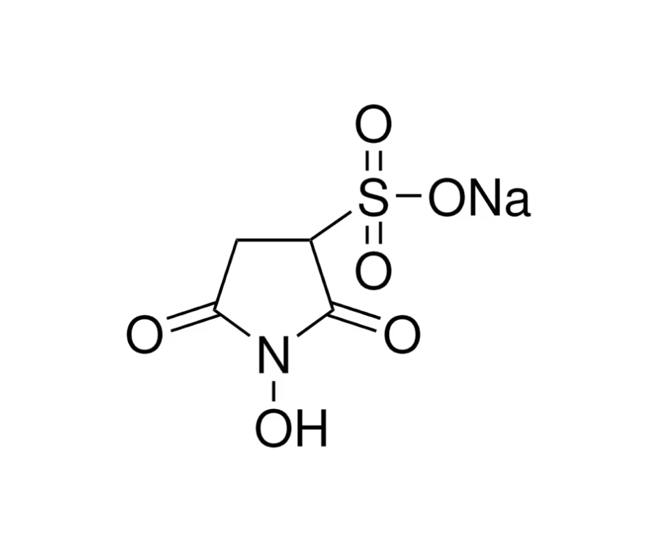 image de la molécule N-Hydroxysulfosuccinimide sodium salt