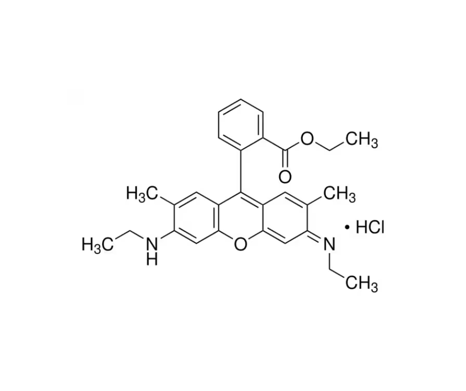 image de la molécule Rhodamine 6G