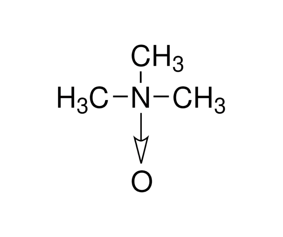 image de la molécule Trimethylamine N-oxide