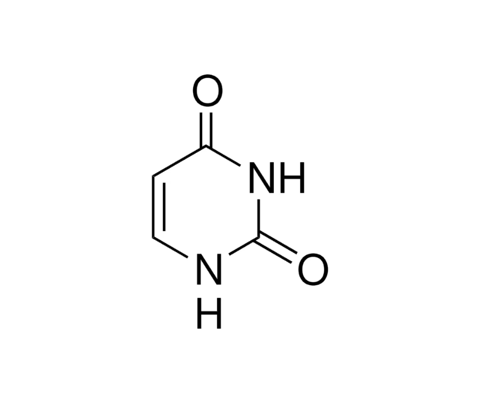 image de la molécule Uracile
