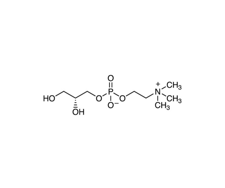 image de la molécule sn-Glycero-3-phosphocholine